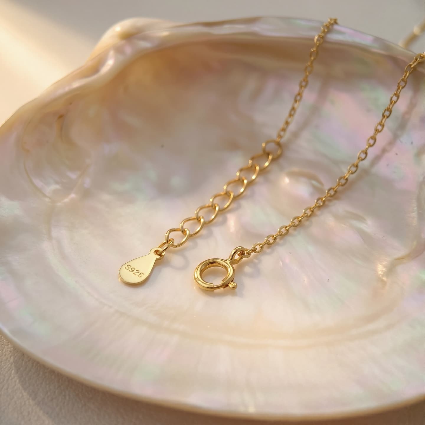 Spring-ring clasp and extension chain detail of a gold-tone necklace on an iridescent shell